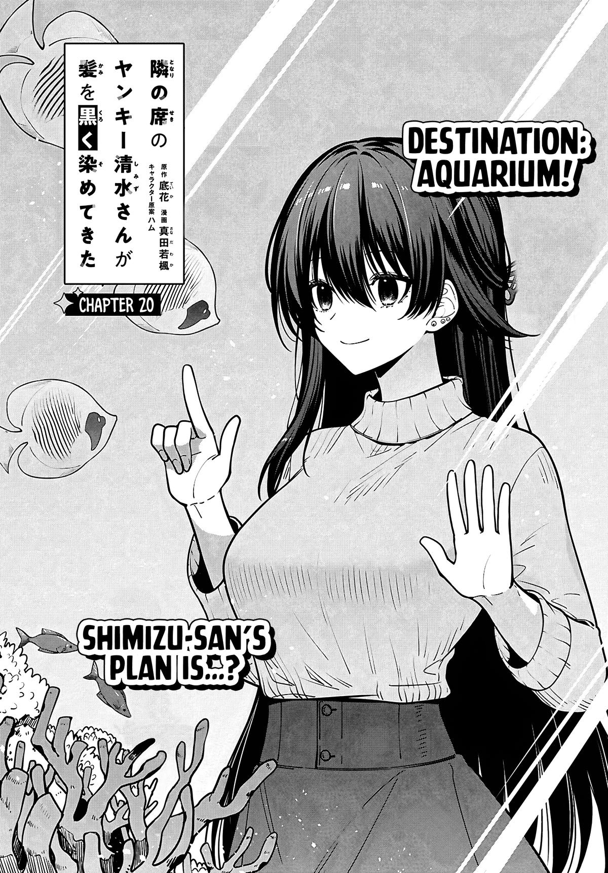 Tonari no Seki no Yankee Shimizu-san ga Kami wo Kuroku Sometekita Chap 20 - Next Chap 21