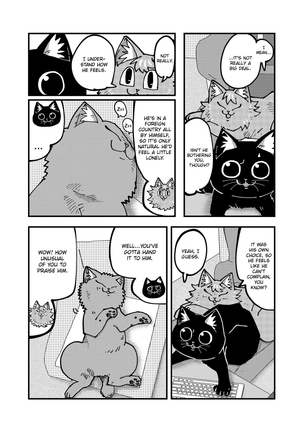 Red Cat Ramen Chap 195 - Next Chap 196