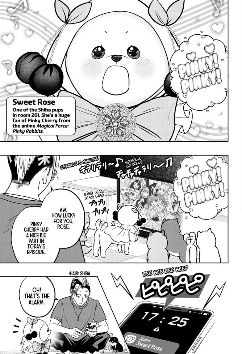 Shiba Inu Rooms Chap 53 - Next Chap 54