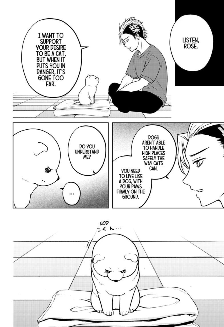 Shiba Inu Rooms Chap 53 - Next Chap 54