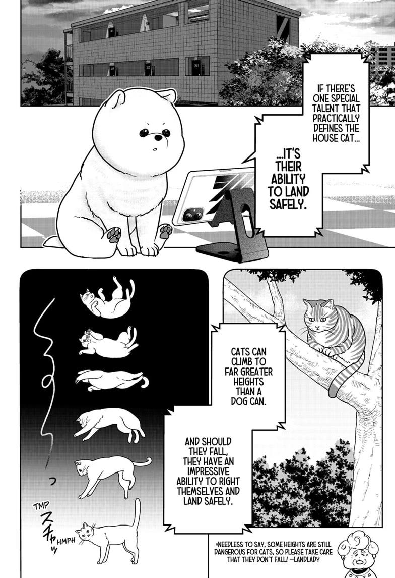 Shiba Inu Rooms Chap 53 - Next Chap 54