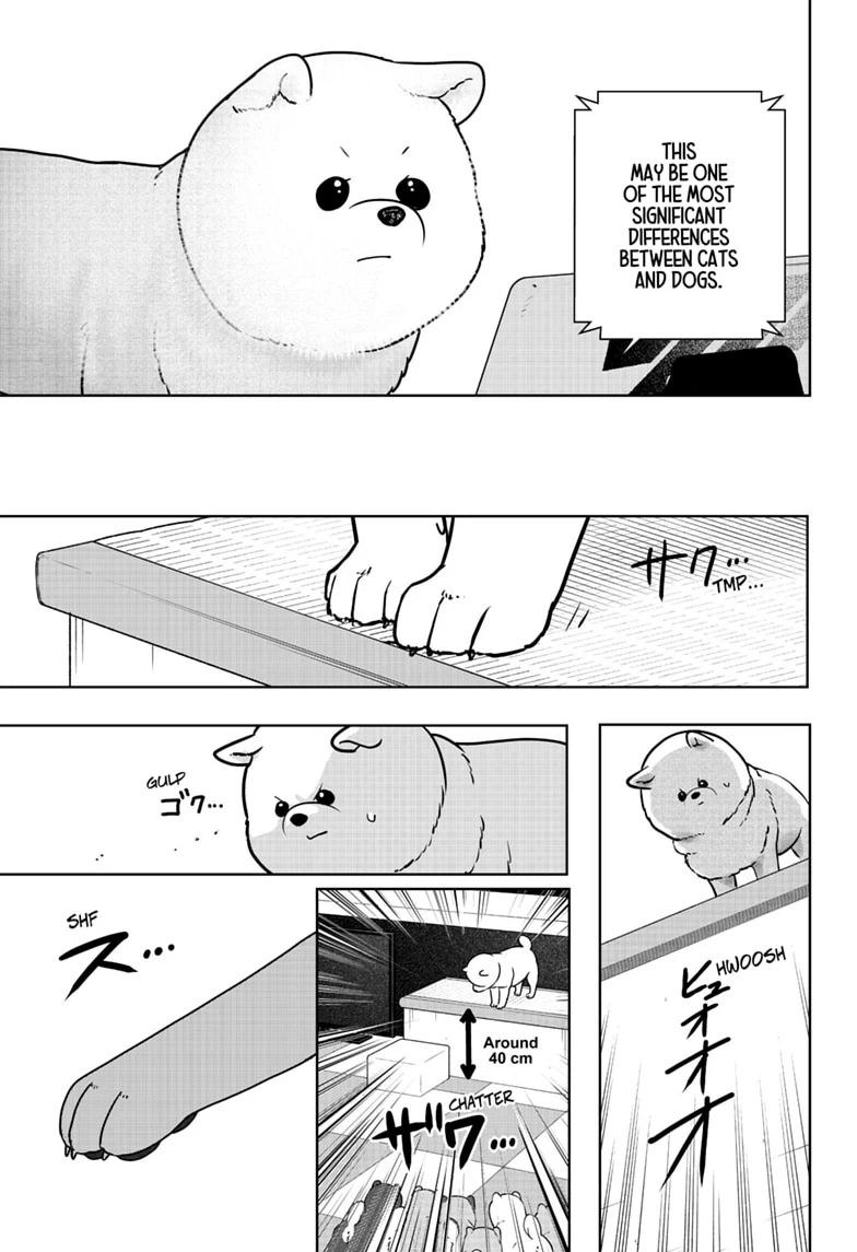 Shiba Inu Rooms Chap 53 - Next Chap 54