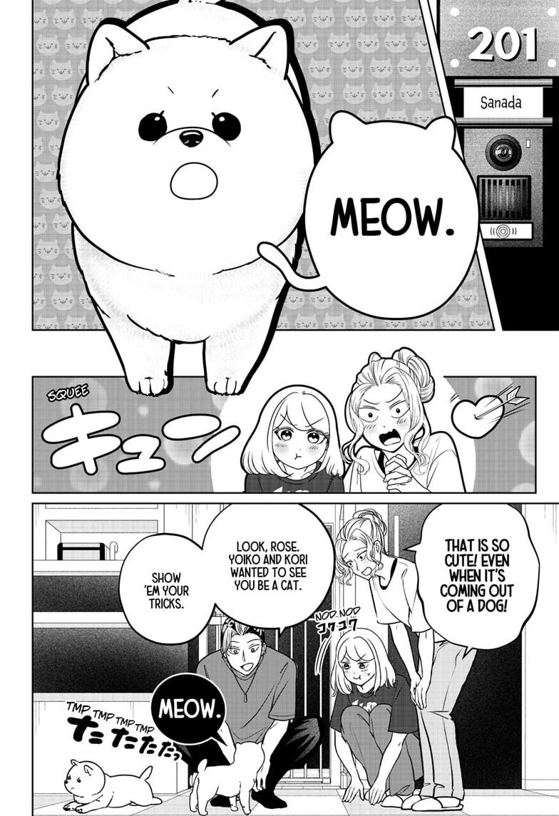 Shiba Inu Rooms Chap 53 - Next Chap 54