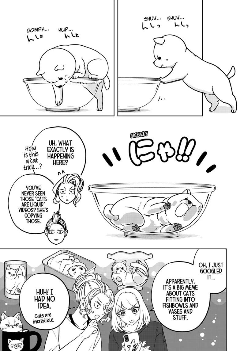Shiba Inu Rooms Chap 53 - Next Chap 54