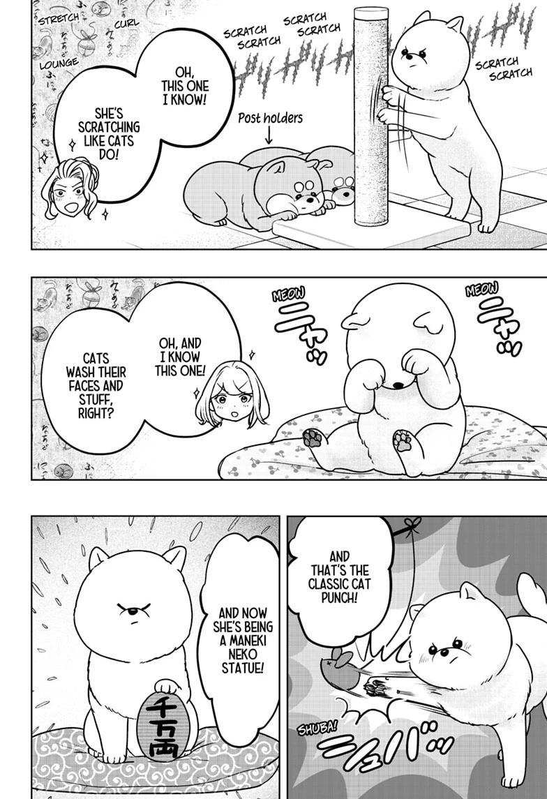 Shiba Inu Rooms Chap 53 - Next Chap 54