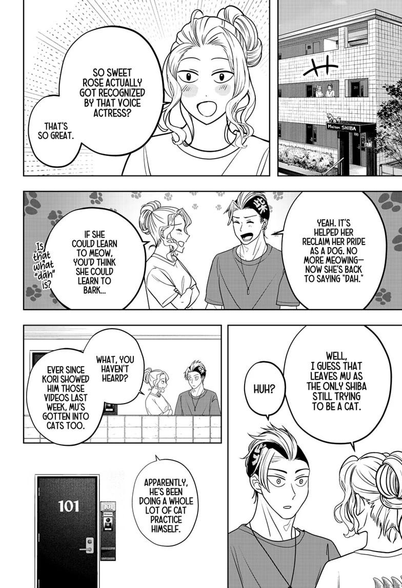 Shiba Inu Rooms Chap 53 - Next Chap 54