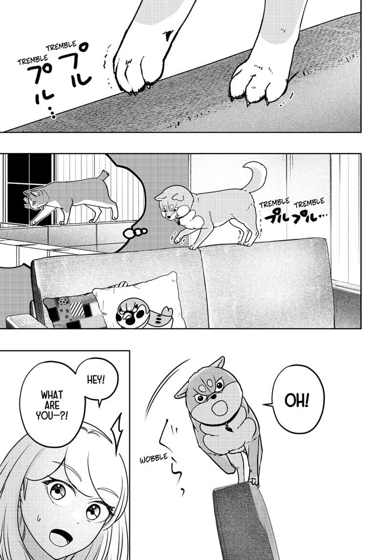 Shiba Inu Rooms Chap 53 - Next Chap 54