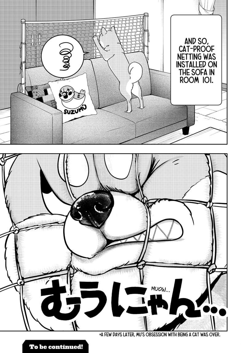 Shiba Inu Rooms Chap 53 - Next Chap 54