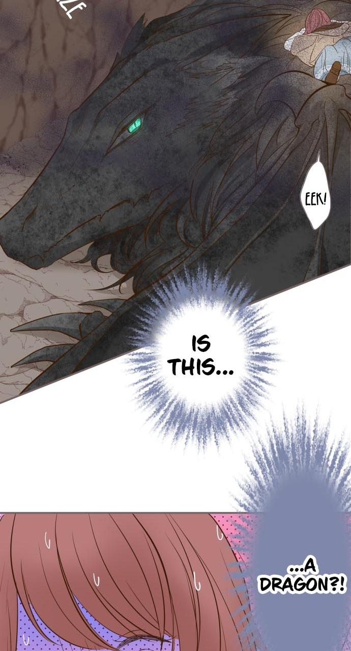 Protected by My Dragon Knight Chap 2 - Next Chap 3