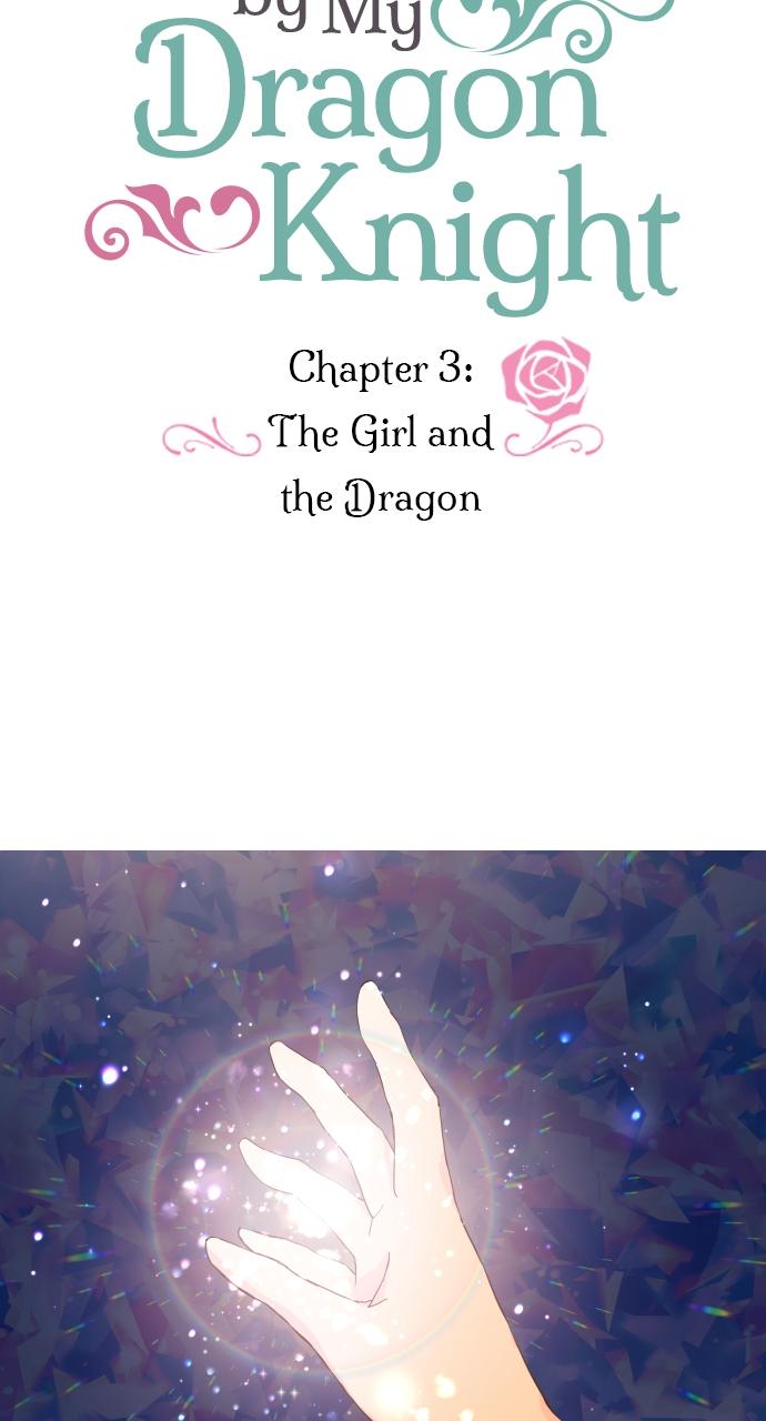 Protected by My Dragon Knight Chap 3 - Next Chap 4
