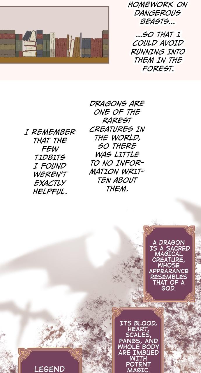 Protected by My Dragon Knight Chap 4 - Next Chap 5