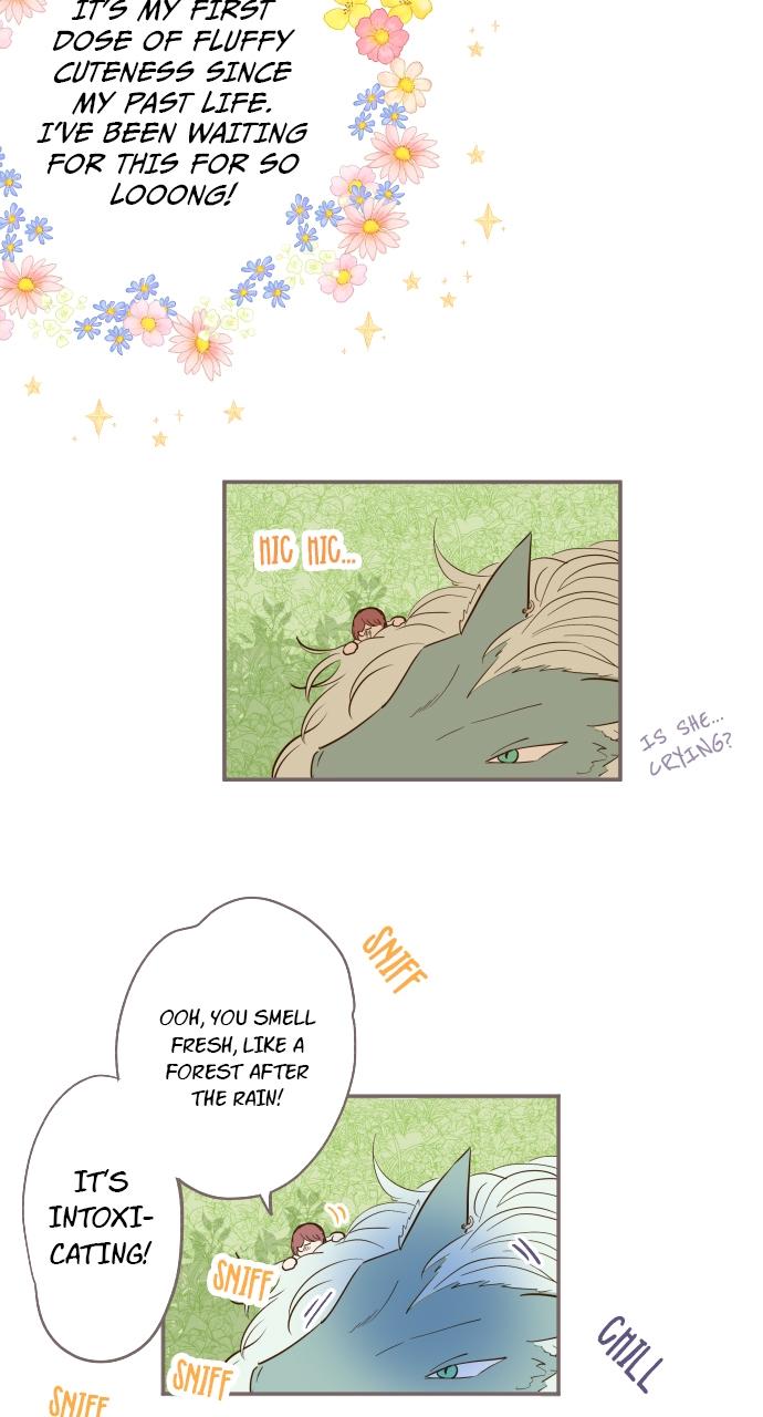 Protected by My Dragon Knight Chap 5 - Next Chap 6