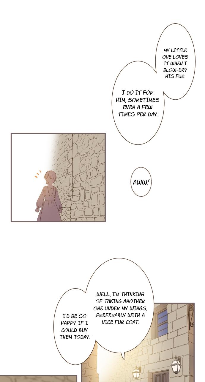 Protected by My Dragon Knight Chap 6 - Next Chap 7