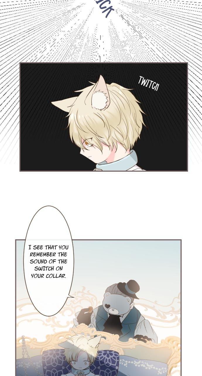Protected by My Dragon Knight Chap 7 - Next Chap 8