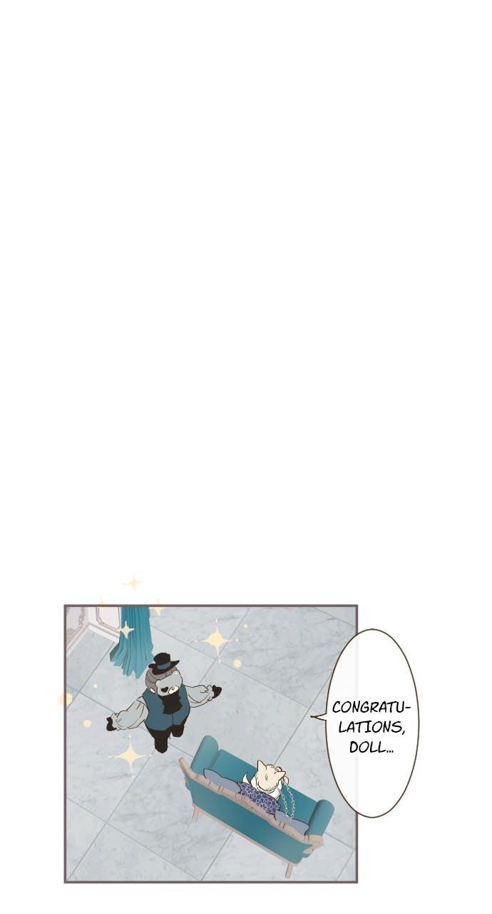 Protected by My Dragon Knight Chap 7 - Next Chap 8