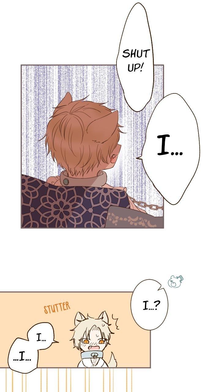 Protected by My Dragon Knight Chap 7 - Next Chap 8
