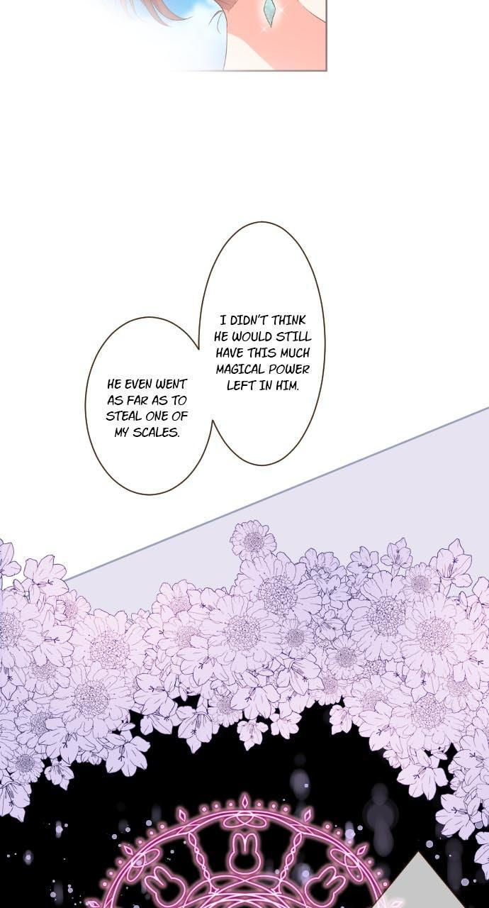 Protected by My Dragon Knight Chap 8 - Next Chap 9