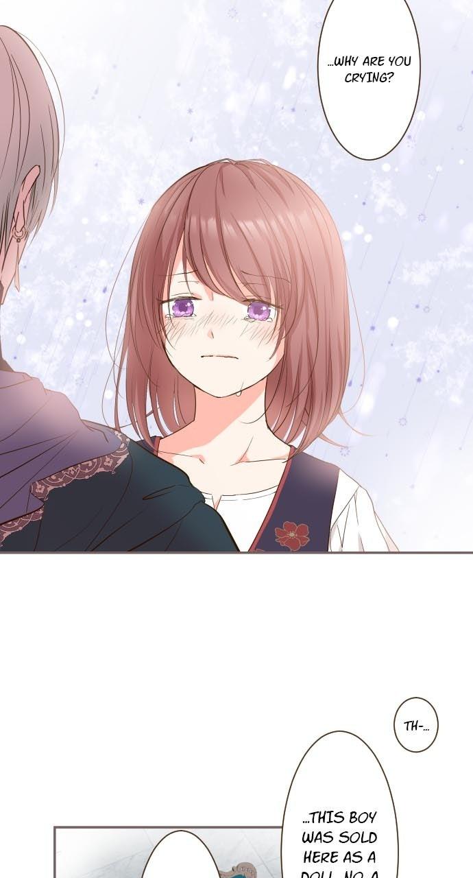 Protected by My Dragon Knight Chap 8 - Next Chap 9
