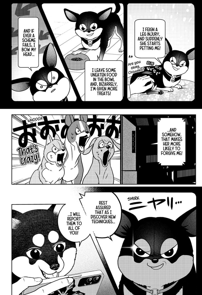 Shiba Inu Rooms Chap 52 - Next Chap 53