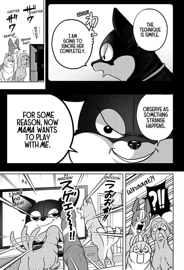 Shiba Inu Rooms Chap 52 - Next Chap 53