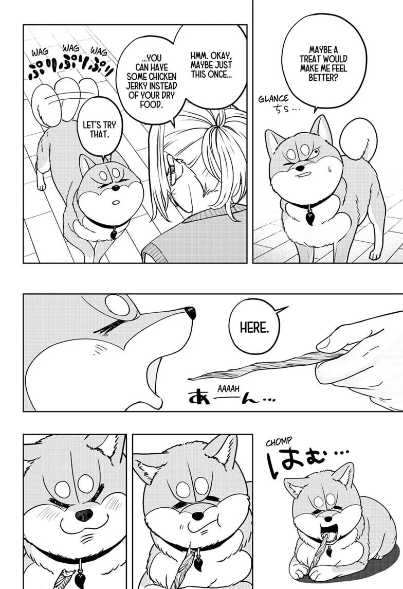 Shiba Inu Rooms Chap 52 - Next Chap 53