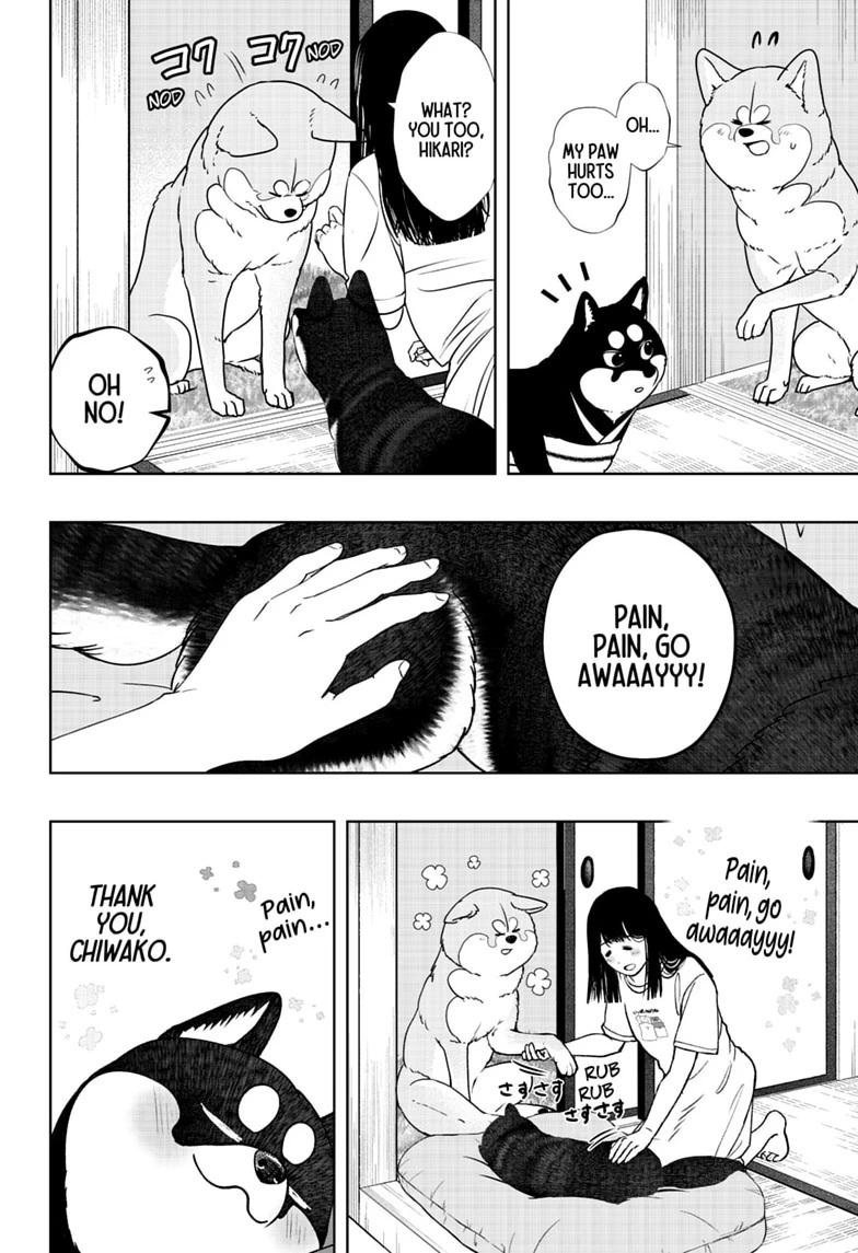 Shiba Inu Rooms Chap 52 - Next Chap 53