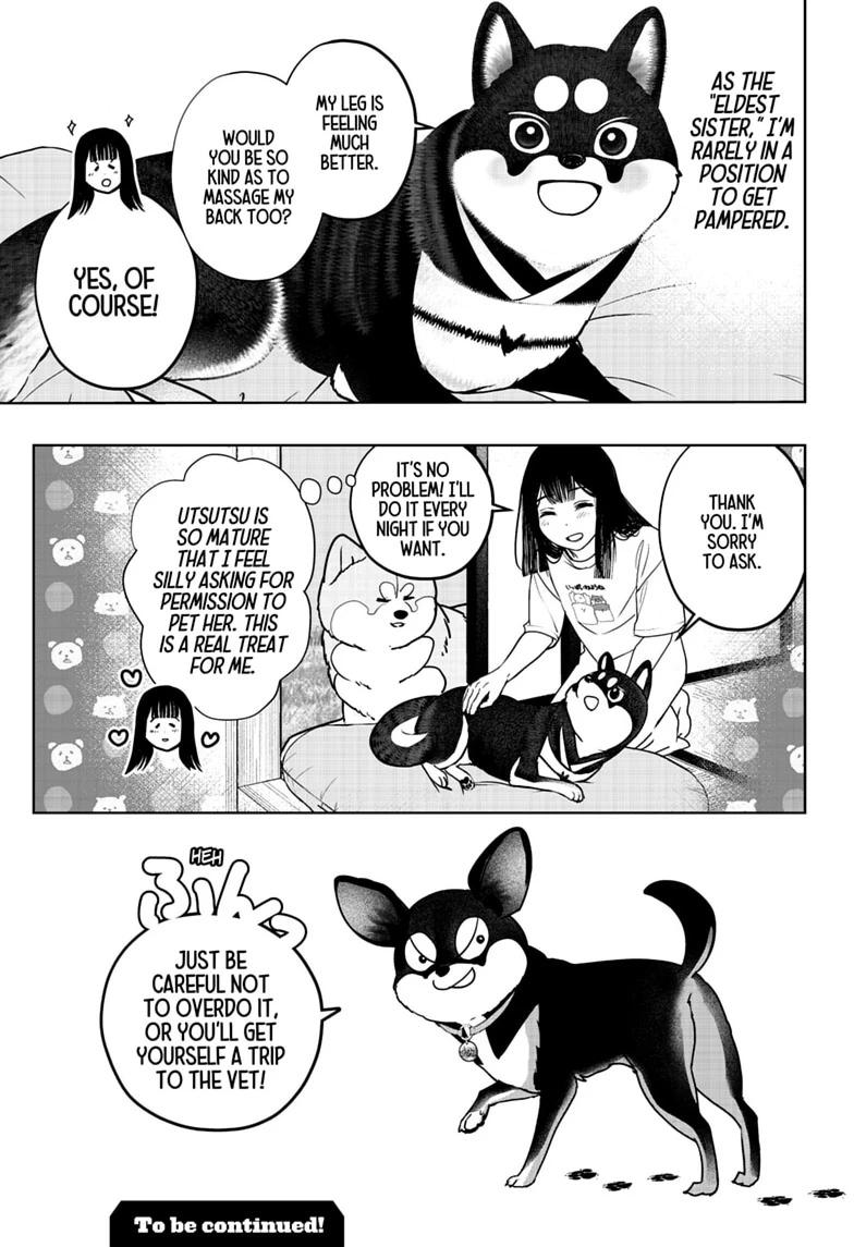 Shiba Inu Rooms Chap 52 - Next Chap 53