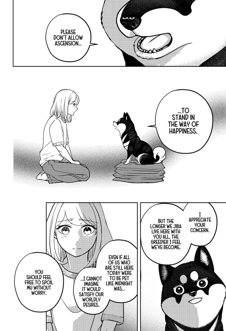 Shiba Inu Rooms Chap 52 - Next Chap 53