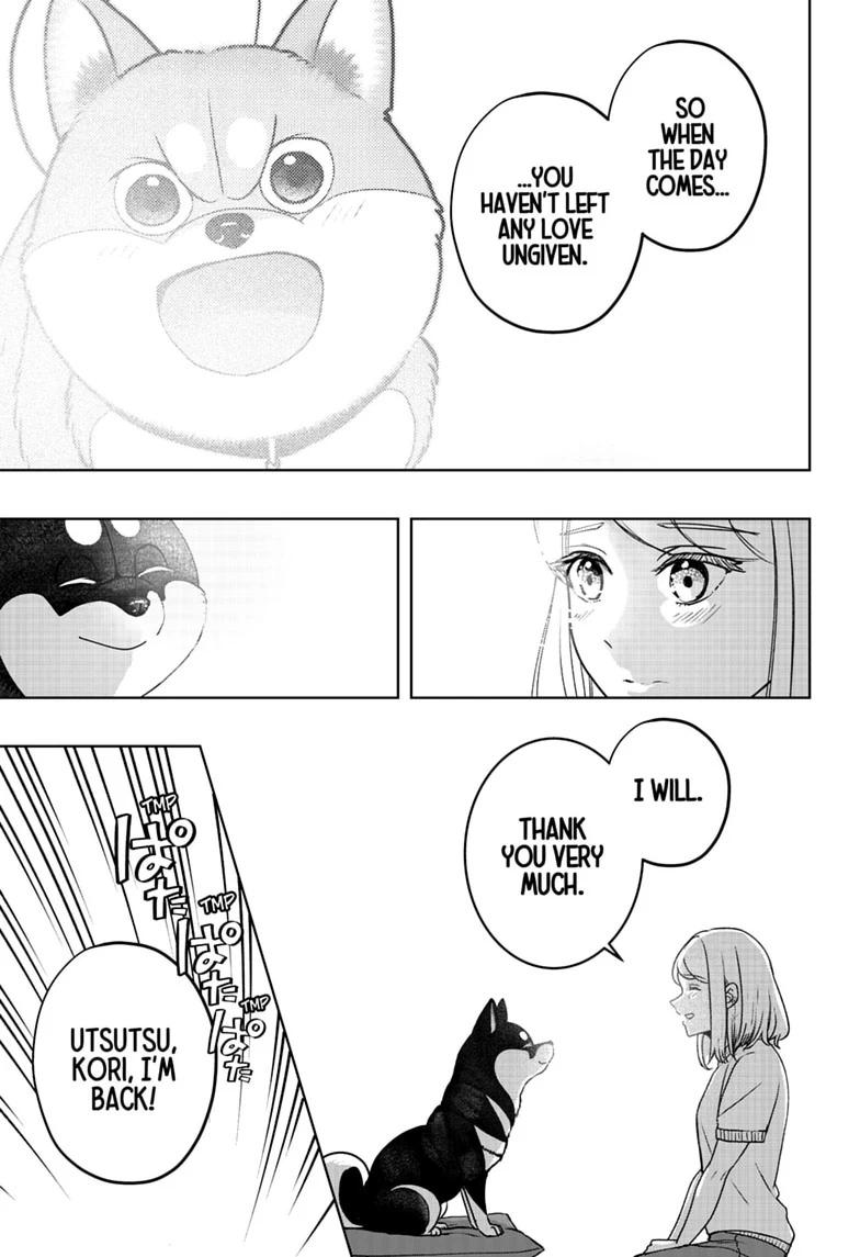 Shiba Inu Rooms Chap 52 - Next Chap 53