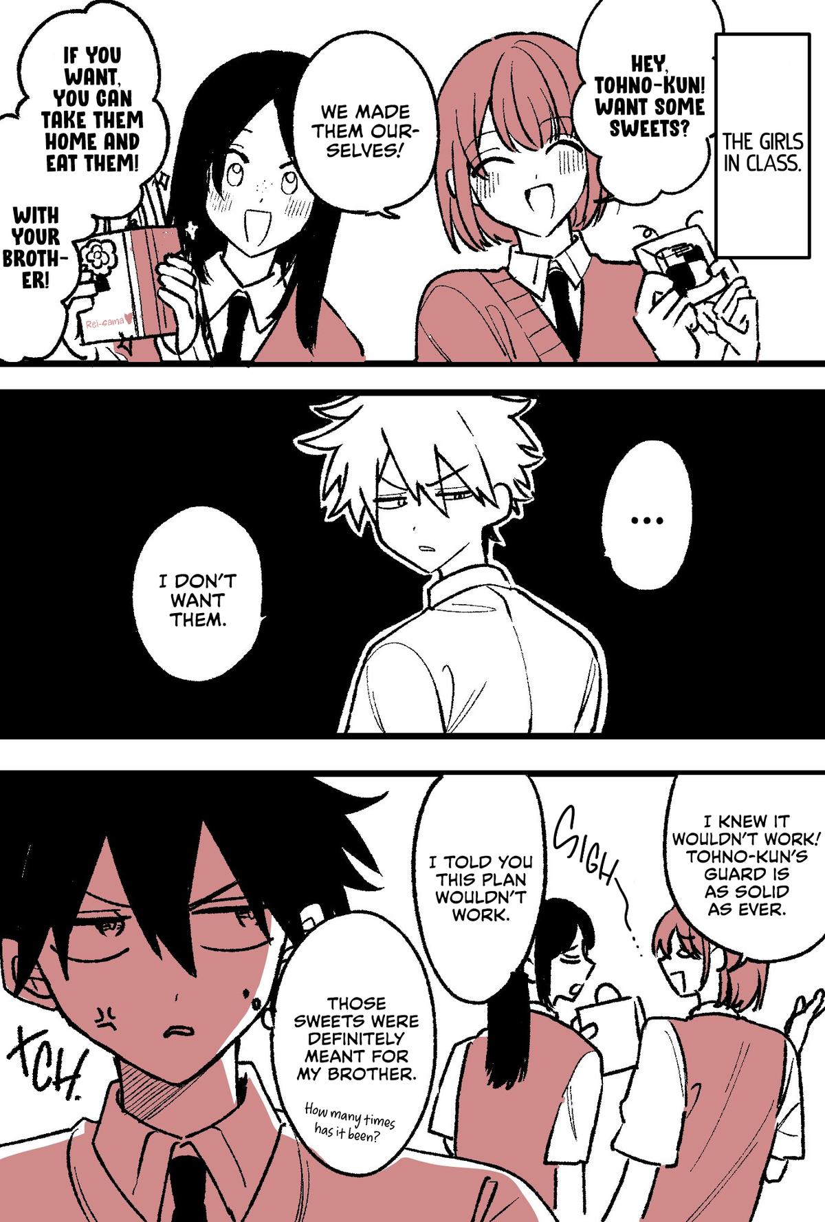 She's Likely Aiming for My Older Brother Chap 29.5 - Next Chap 30.5