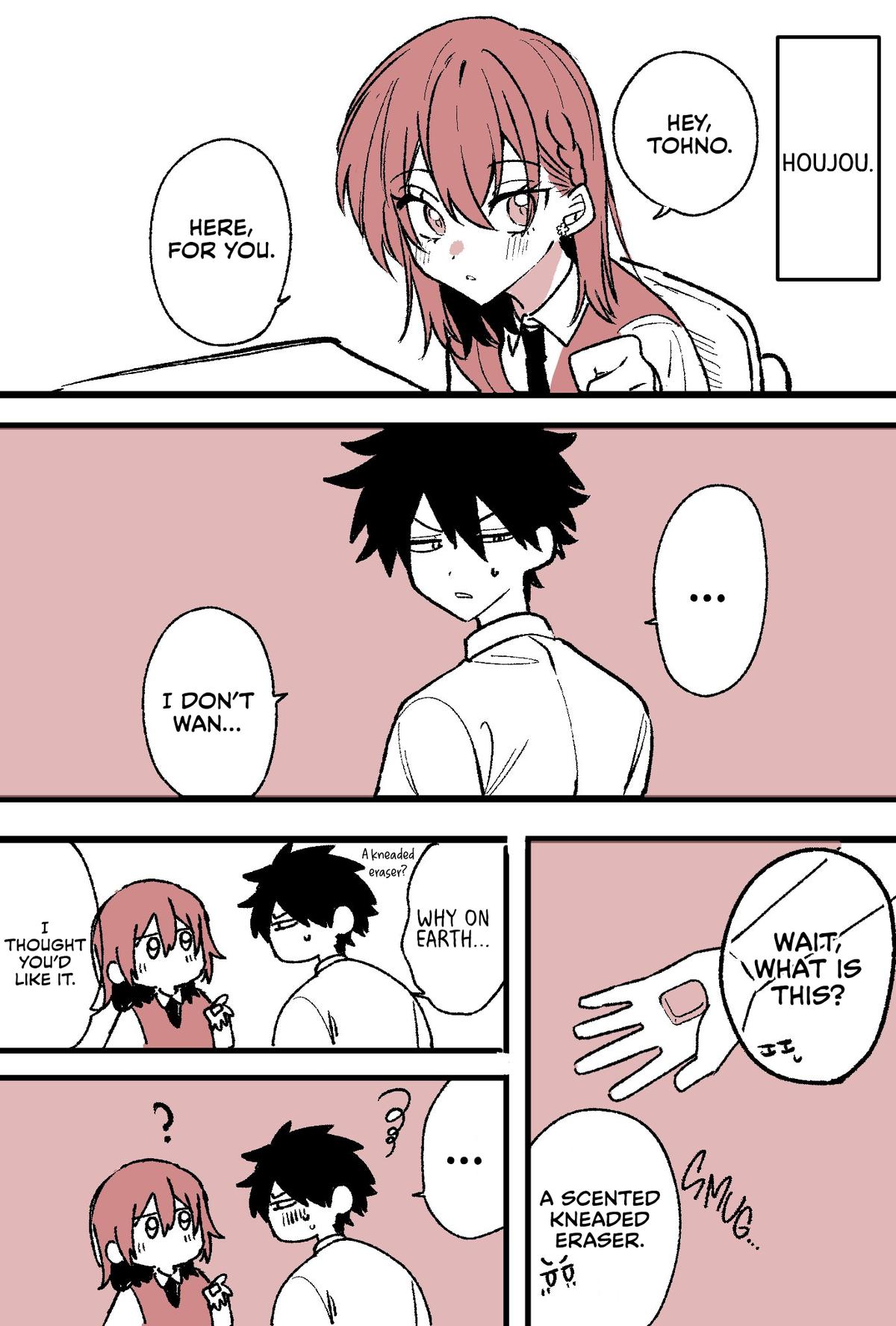 She's Likely Aiming for My Older Brother Chap 29.5 - Next Chap 30.5