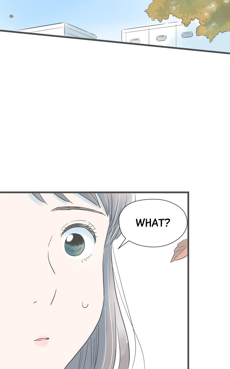 Taisetsu na Hi wa Itsumo Ame Chap 181 - Next Chap 182