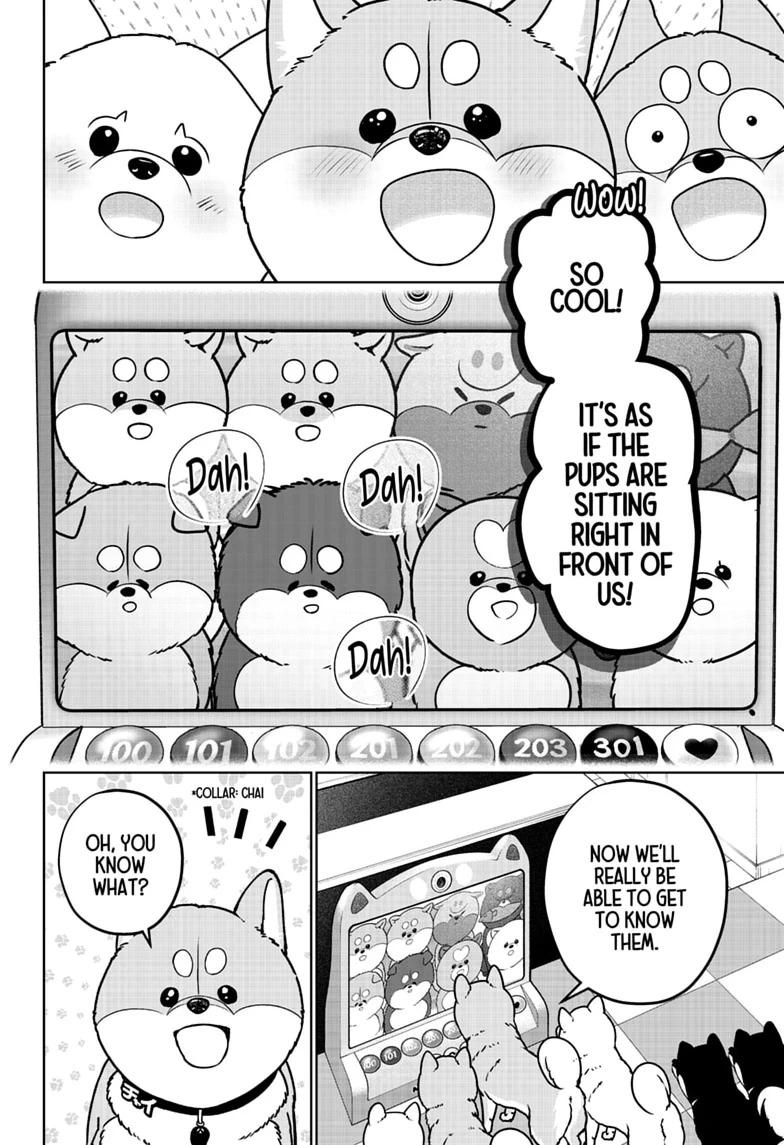 Shiba Inu Rooms Chap 61 - Next Chap 62