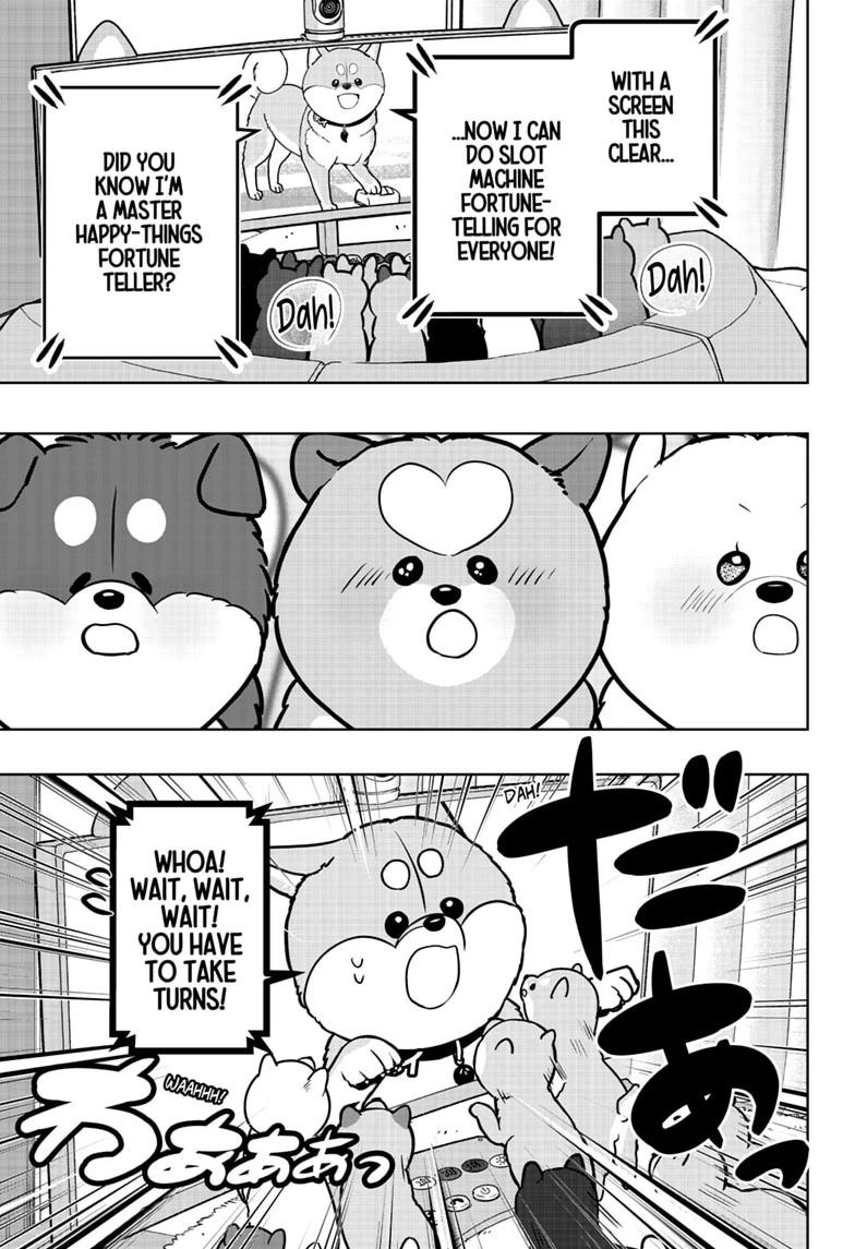 Shiba Inu Rooms Chap 61 - Next Chap 62
