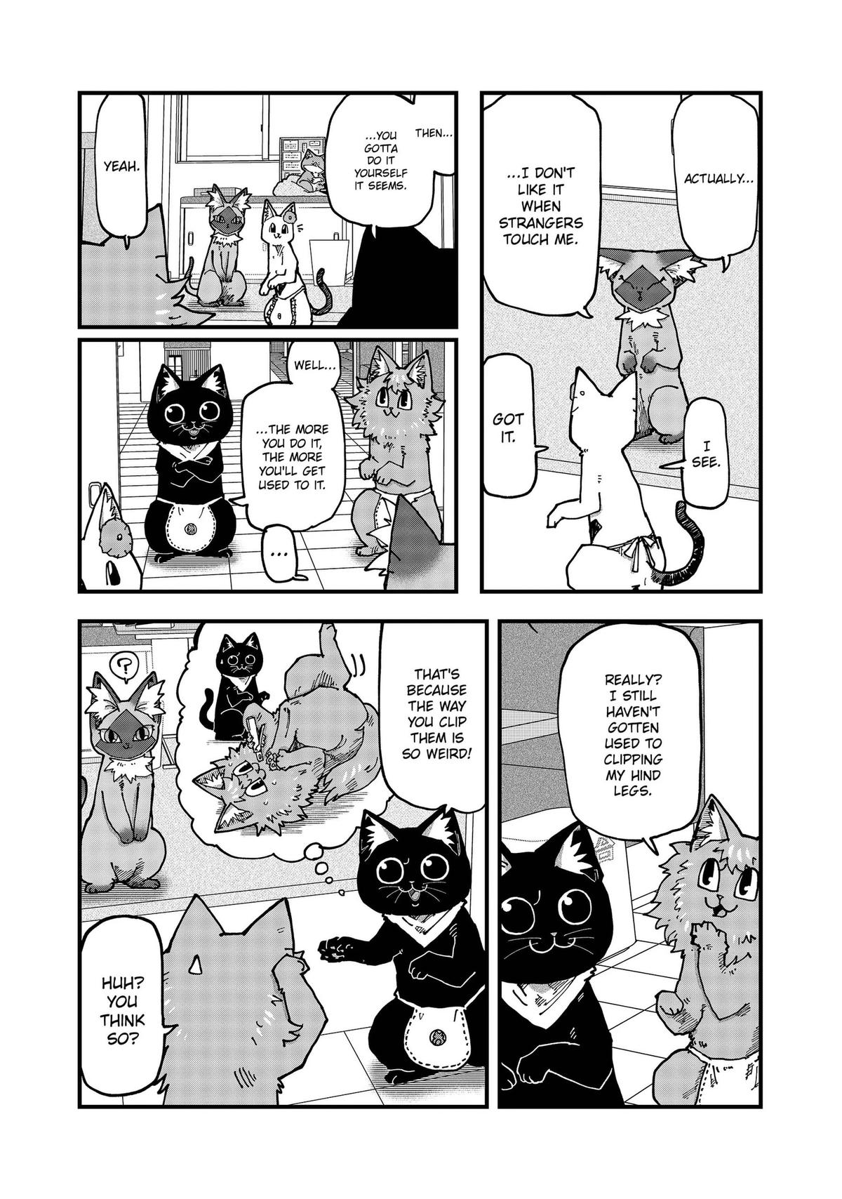 Red Cat Ramen Chap 209 - Next Chap 210