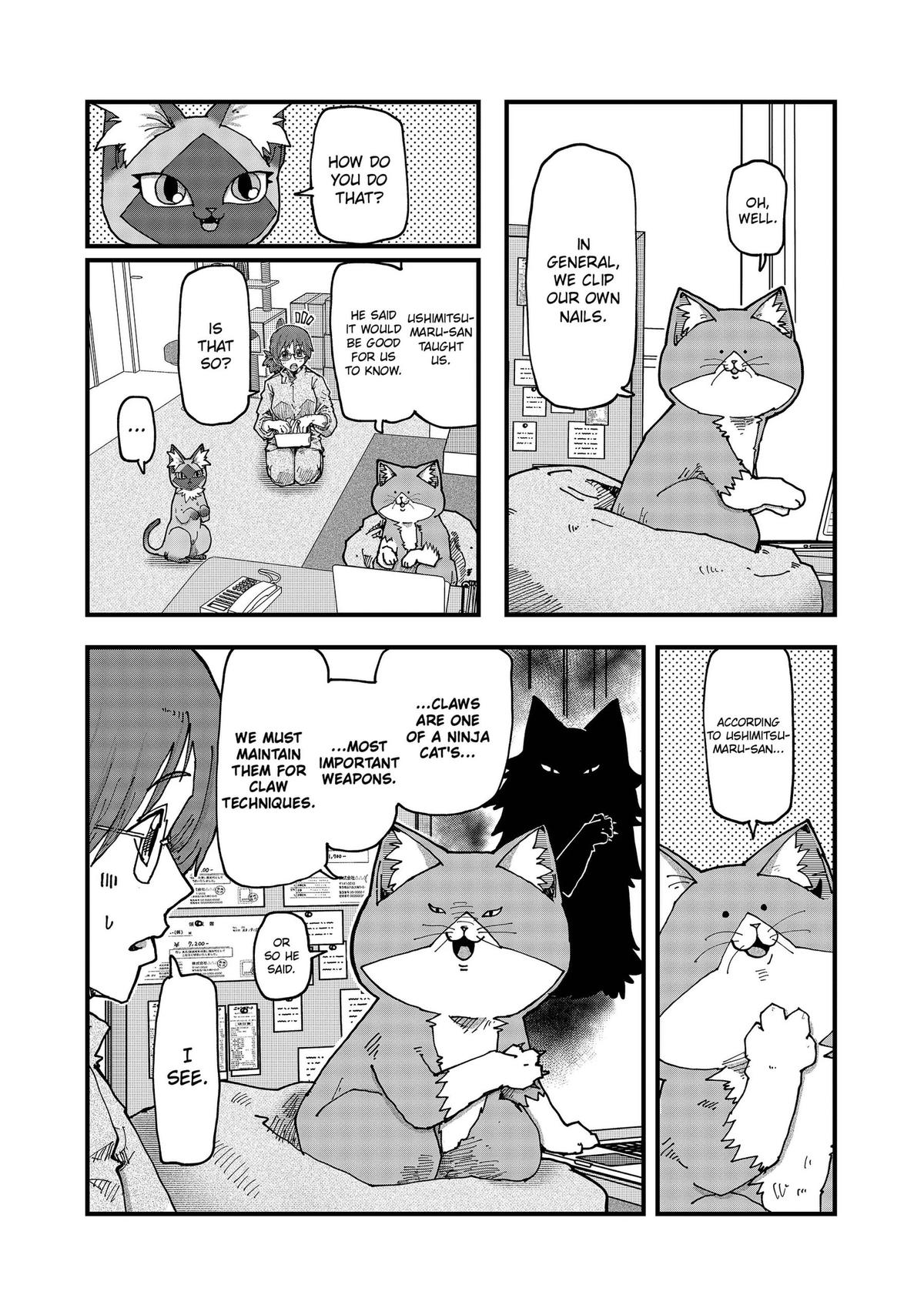 Red Cat Ramen Chap 209 - Next Chap 210