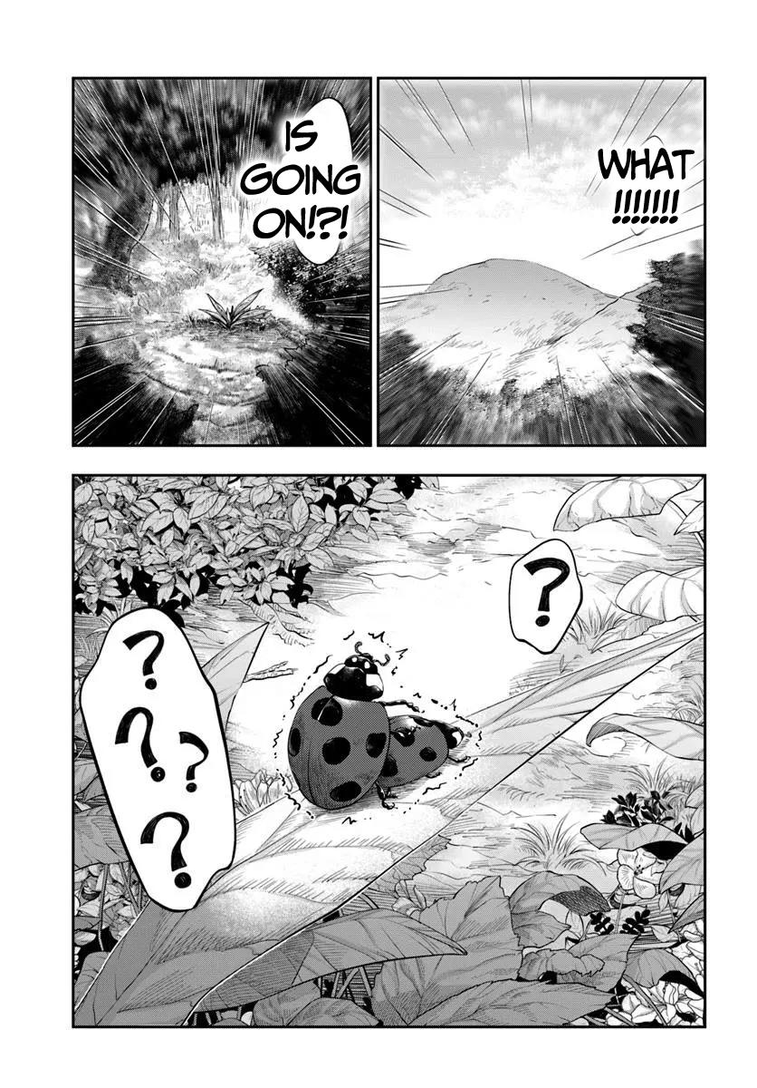 Nisemono no Renkinjutsushi Chap 11 - Next Chap 12