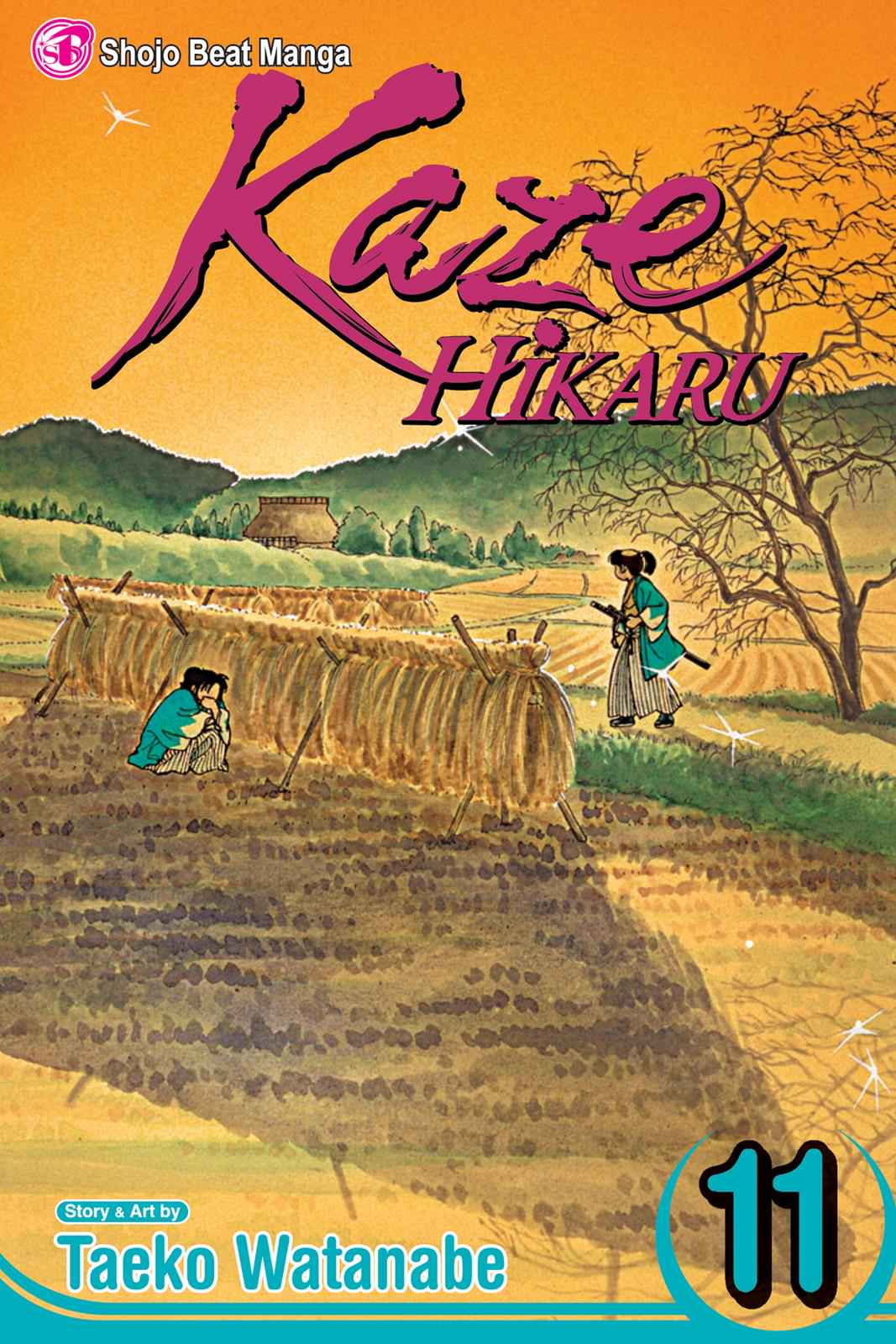 Kaze Hikaru Chap 11 - Next Chap 12