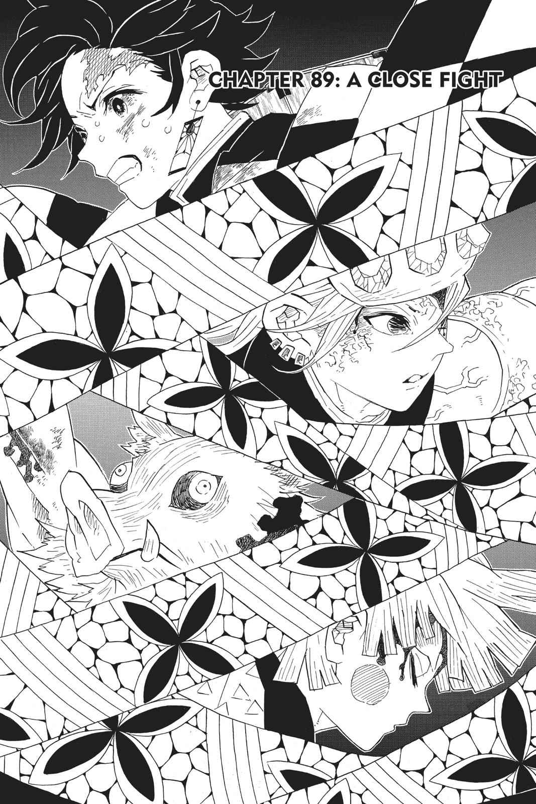 Demon Slayer: Kimetsu no Yaiba Chap 89 - Next Chap 90