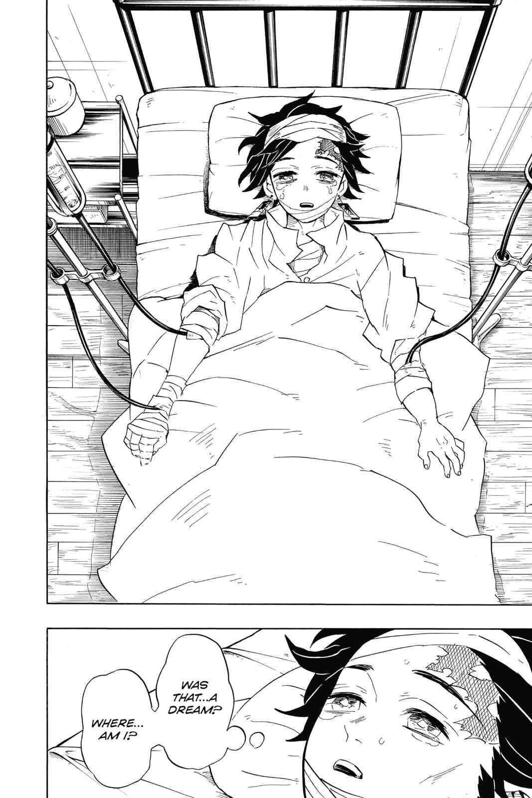 Demon Slayer: Kimetsu no Yaiba Chap 99 - Next Chap 100