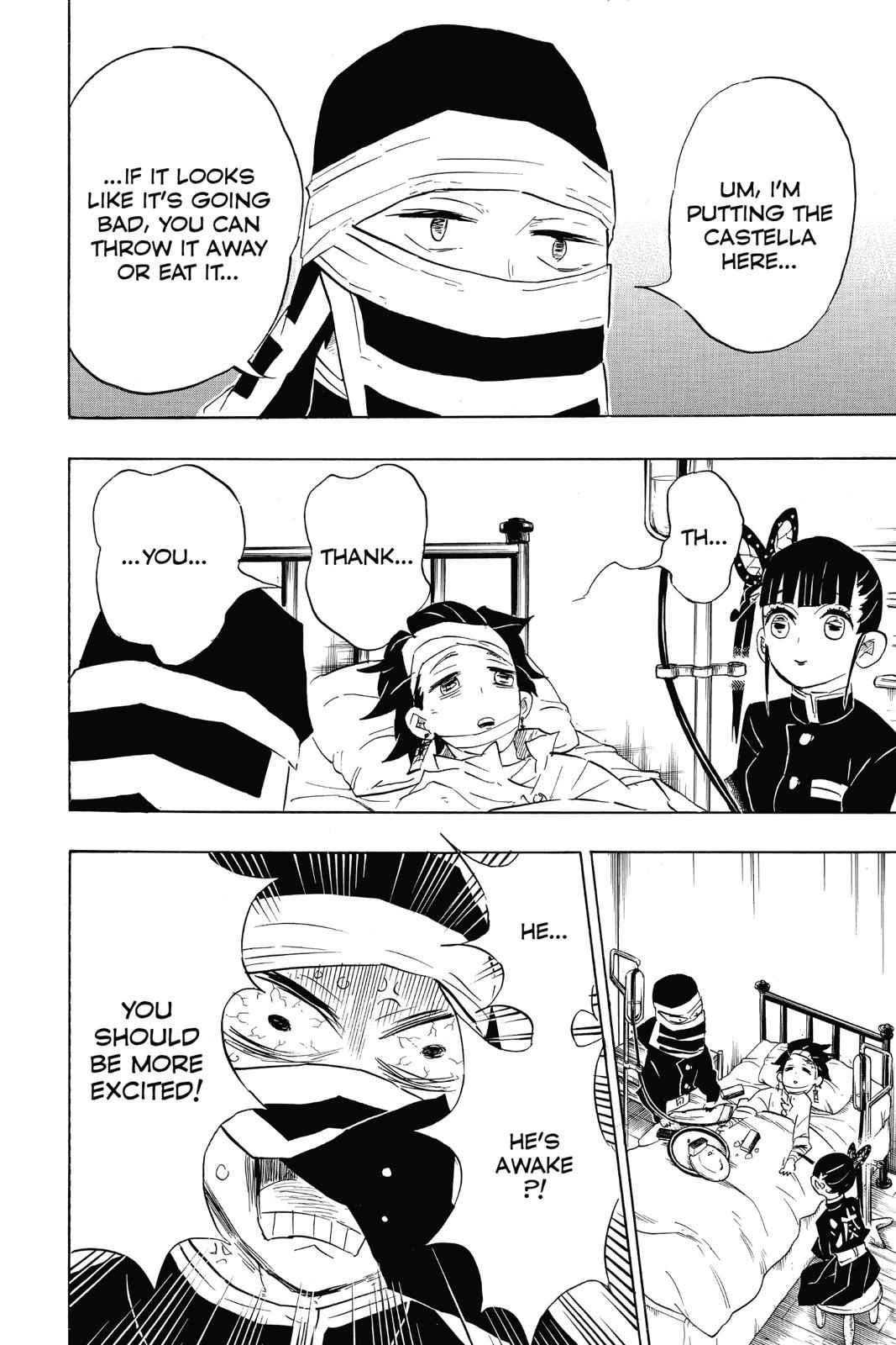 Demon Slayer: Kimetsu no Yaiba Chap 100 - Next Chap 101