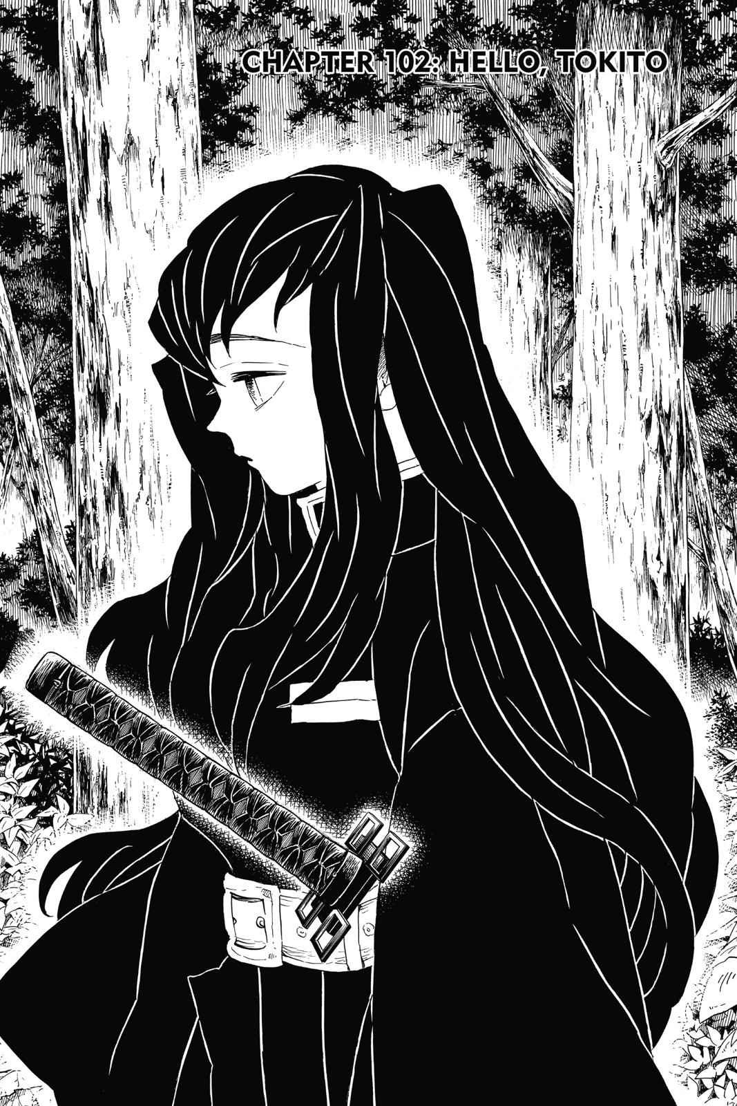 Demon Slayer: Kimetsu no Yaiba Chap 102 - Next Chap 103