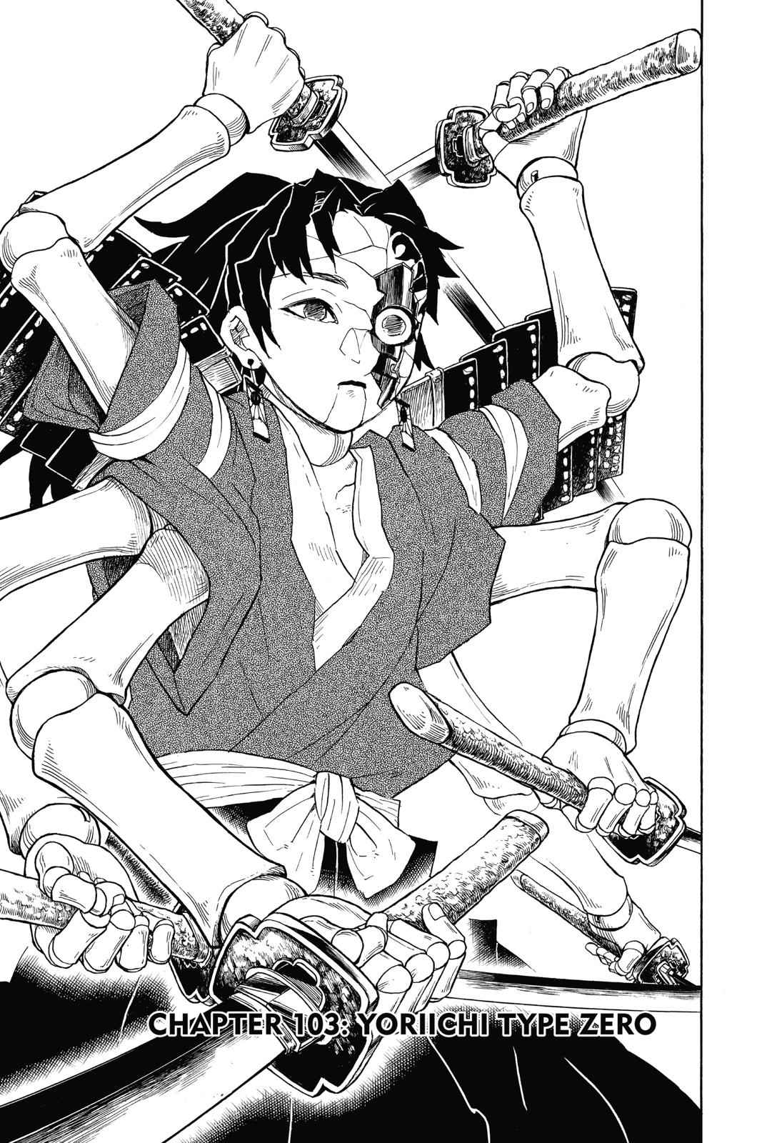 Demon Slayer: Kimetsu no Yaiba Chap 103 - Next Chap 104