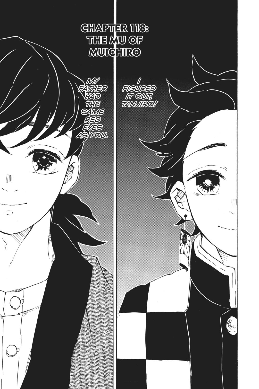 Demon Slayer: Kimetsu no Yaiba Chap 118 - Next Chap 119