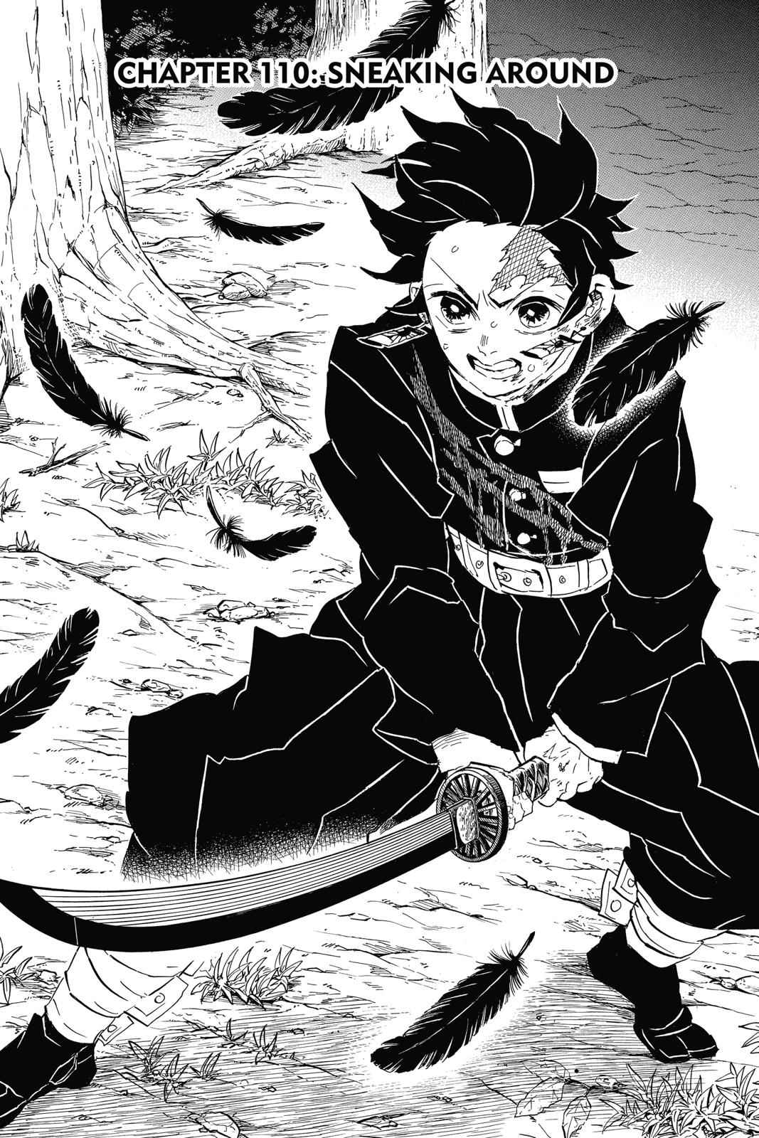 Demon Slayer: Kimetsu no Yaiba Chap 110 - Next Chap 111