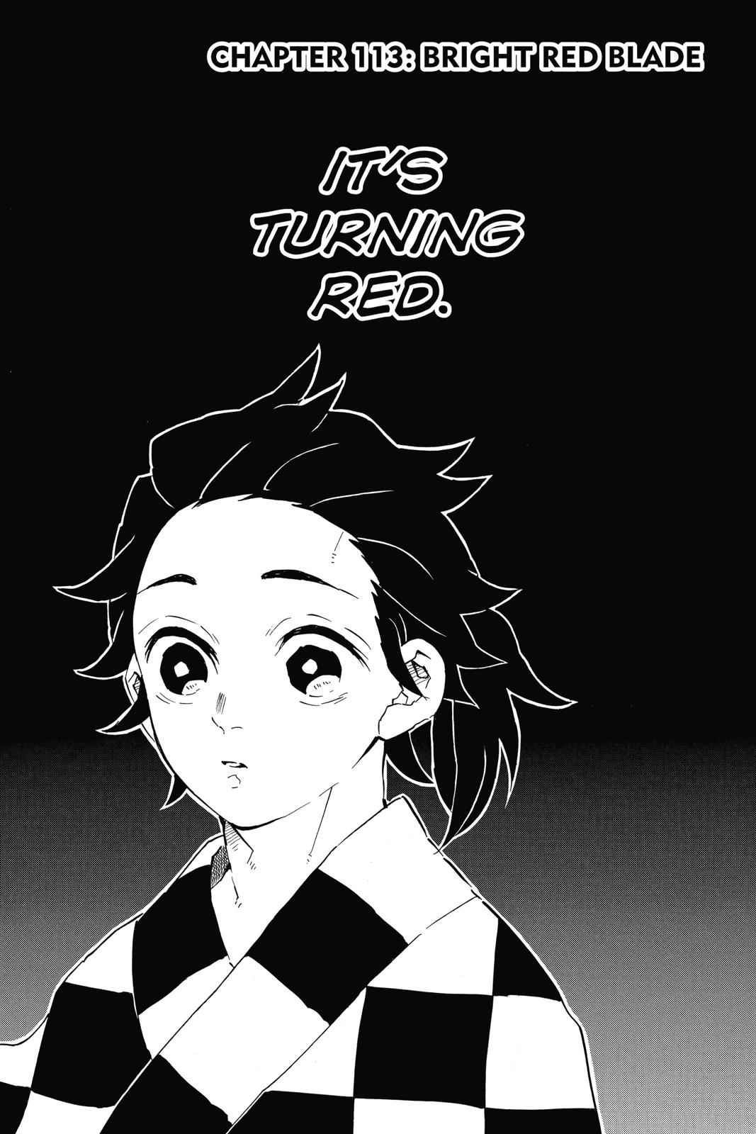 Demon Slayer: Kimetsu no Yaiba Chap 113 - Next Chap 114