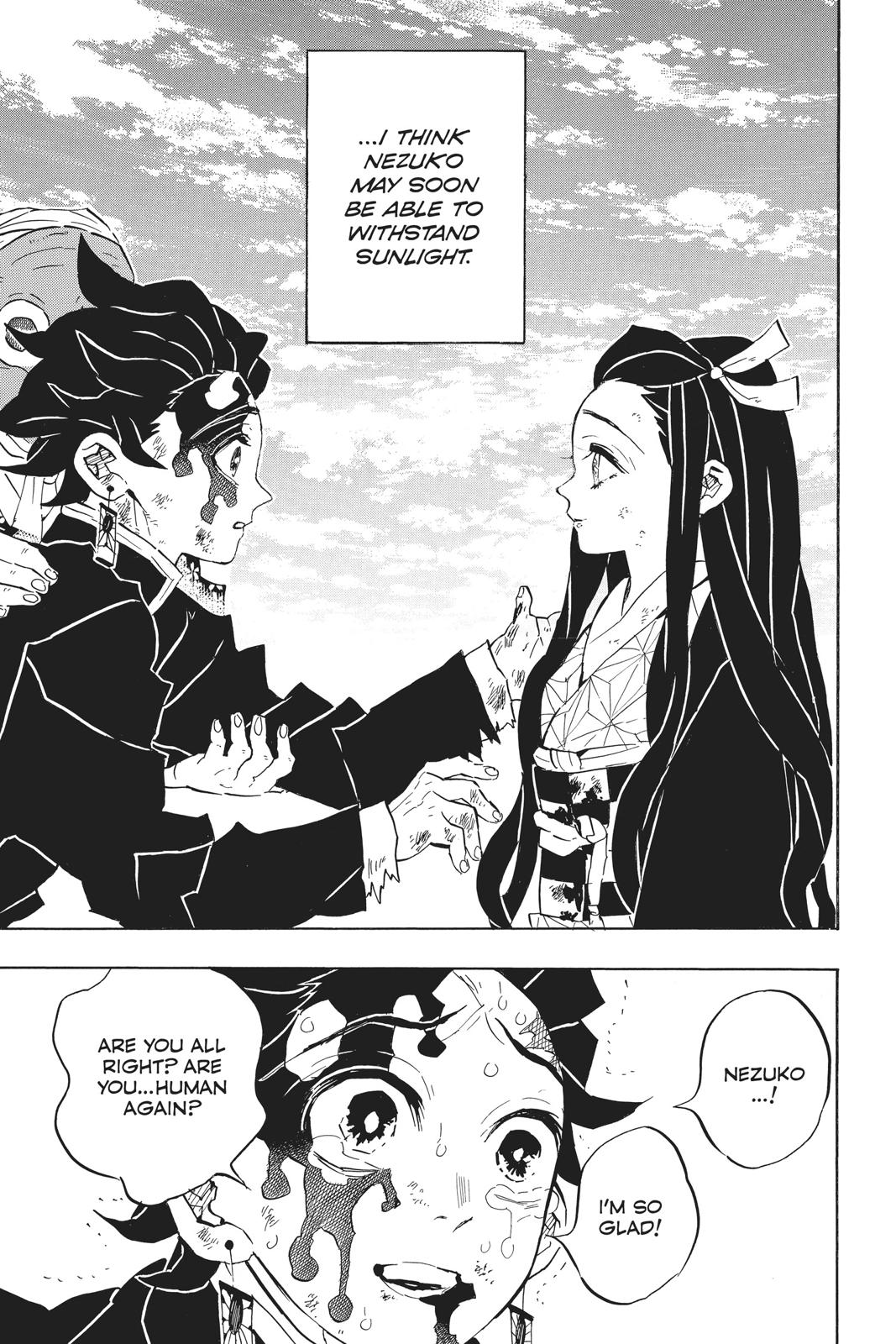 Demon Slayer: Kimetsu no Yaiba Chap 127 - Next Chap 128