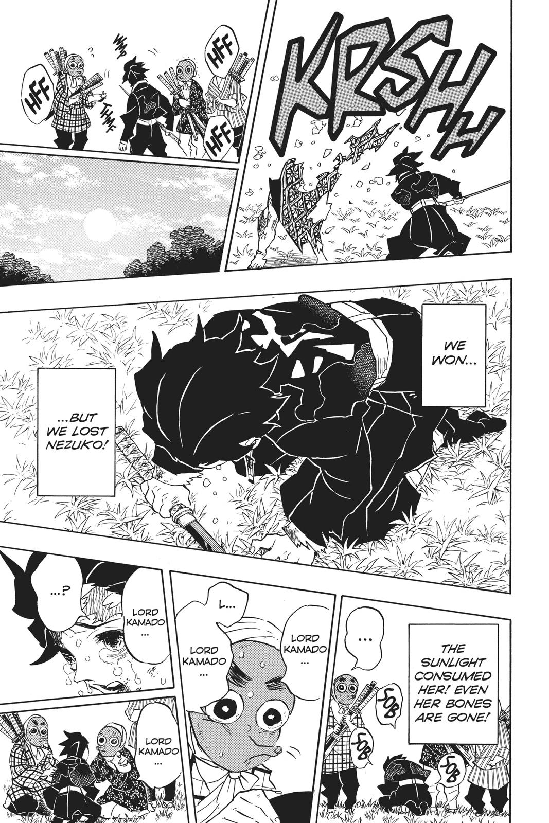 Demon Slayer: Kimetsu no Yaiba Chap 126 - Next Chap 127