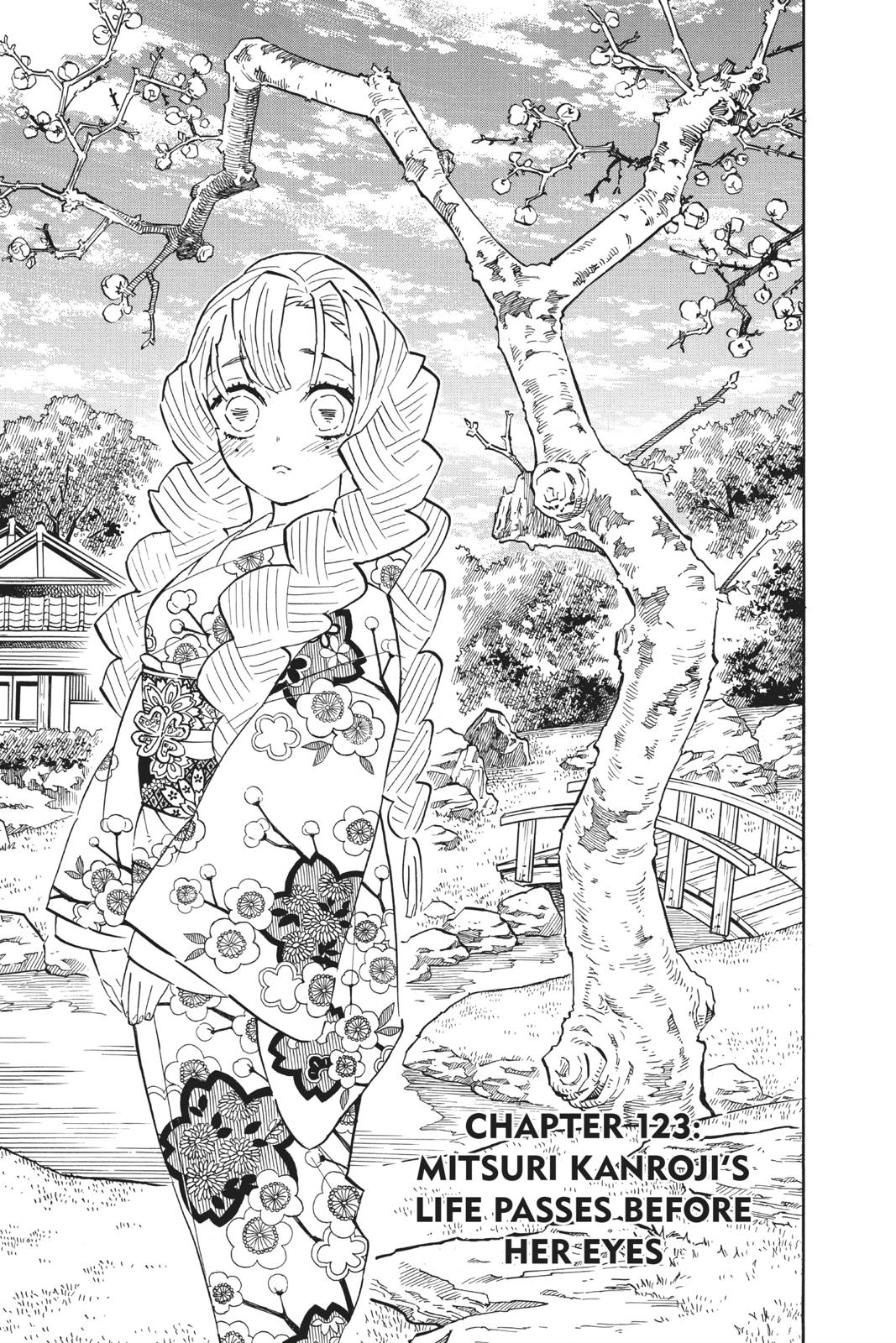 Demon Slayer: Kimetsu no Yaiba Chap 123 - Next Chap 124