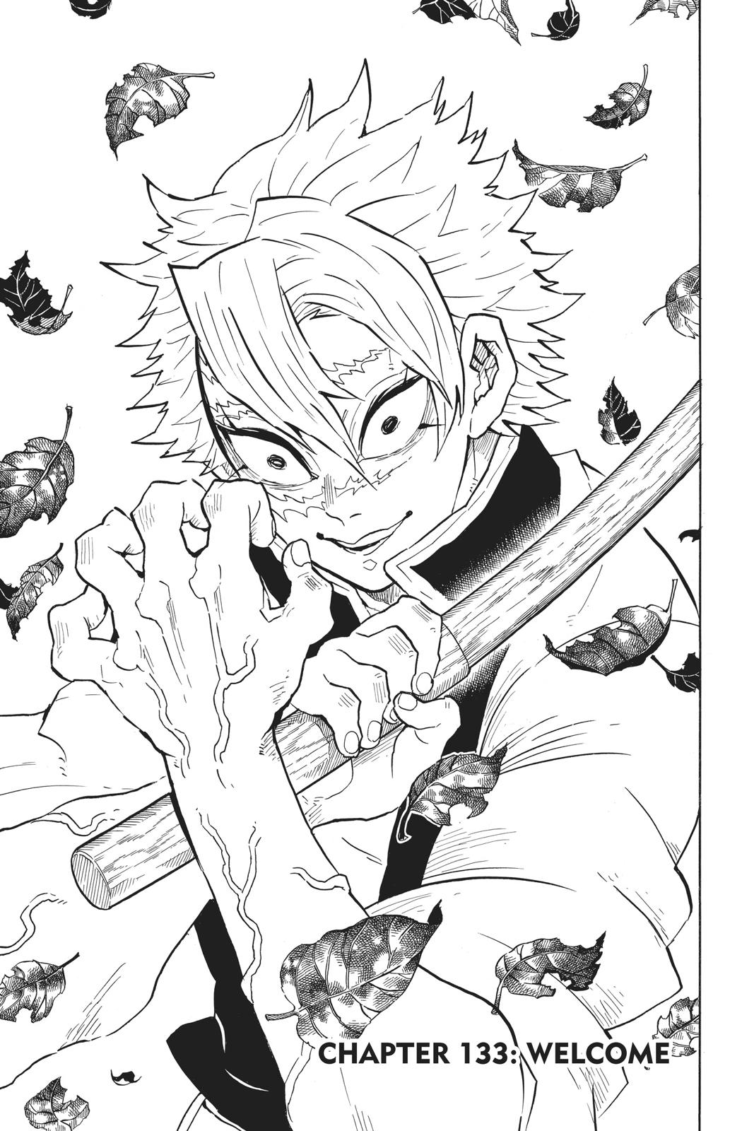 Demon Slayer: Kimetsu no Yaiba Chap 133 - Next Chap 134